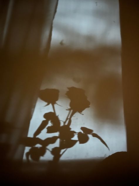 Vintafe aesthetic Rosja flower Roses Dark Academia, Vintage Aesthetic Flowers, Rose Cottagecore, Wilted Rose, Aesthetic Flowers, Dark Academia Aesthetic, Academia Aesthetic, Lovey Dovey, On Film