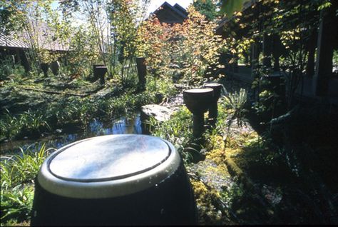 Rain Drums at Rattlesnake Lake WA Rain Drum Garden, Rain Drum, Rain Chains, Juke Joints, Outdoor Music, Site Analysis, Rain Chain, Happy House, Rain Garden