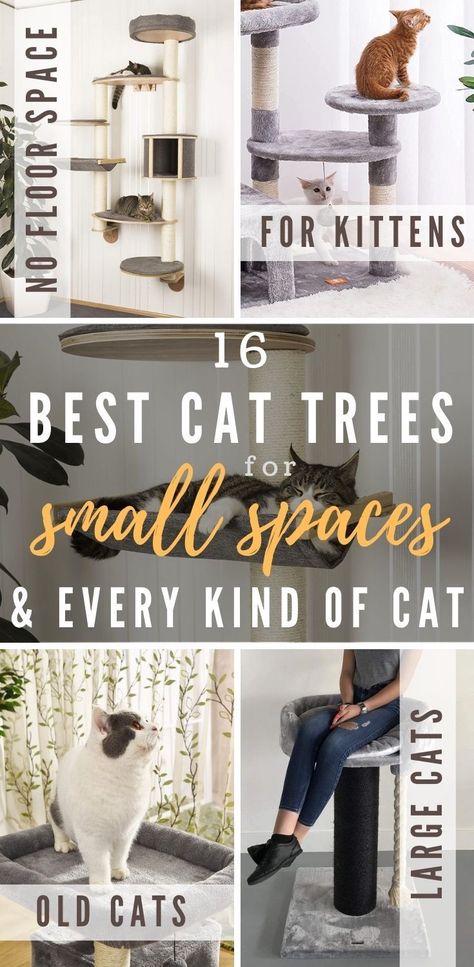 Cat Tree Wall Ideas, Corner Cat Tower, Cat Trees And Condos, Cat Wall Tree Diy, Apartment Cat Ideas Small Spaces, Cat Trees Diy, Cat Tower Diy, Apartment Cat Ideas, Aesthetic Cat Tree