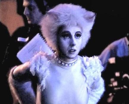 Victoria the white cat Jellicle Cats, Talking Animals, Cats Musical, White Kitten, Personal Gifts, Theatrical Makeup, Cat Woman, Cat Pose, White Kittens