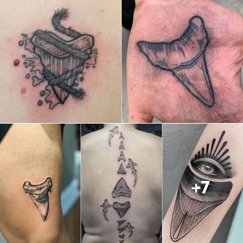 The post What’s the Meaning of a Shark Tooth Tattoo? appeared first on TattooAdore. Hammerhead Shark Tooth Tattoo, Shark Tooth Tattoo Traditional, Sharks Tooth Tattoo, Tooth Tattoos, Shark Tooth Tattoo, Beachy Tattoos, Tooth Tattoo, Grim Reaper Tattoo, Reaper Tattoo