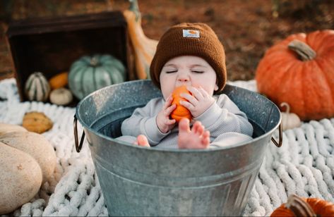 Carhartt beanie and pumkpins— the ultimate fall combo 🧡 Baby Fall Photoshoot, Baby Fall, Carhartt Beanie, Fall Photoshoot, Bassinet