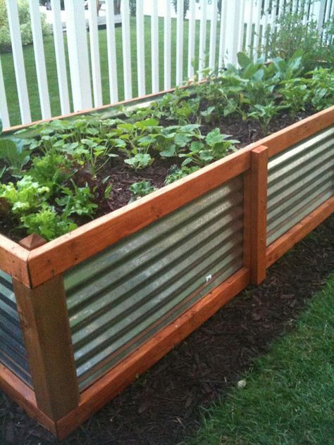 Finally! The idea I was looking for with elevated gardening beds. Much cheaper than galvanized tubs. Lowes here I come. Above Ground Garden, Raised Vegetable Gardens, Diy Raised Garden, Raised Garden Beds Diy, Plants Growing, Garden Boxes, Raised Bed, The Secret Garden, Yard And Garden