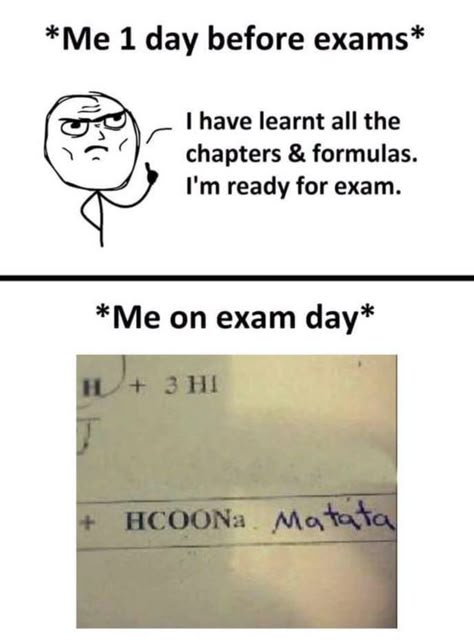 School Jokes, Funny School Jokes, School Memes, Hilarious Memes, Crazy Funny Memes, Memes Humor, Biotechnology, Some Funny Jokes, School Humor