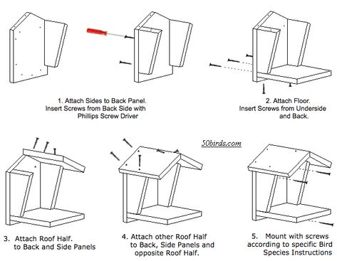 Mourning Dove Platform Plans - 70birds Nesting Boxes Diy, Building Bird Houses, Dove Nest, Birdhouse Plans, Dove House, Homemade Bird Houses, Bird Houses Ideas Diy, Bird House Plans, Barn Swallow