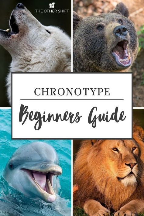 At The Other Shift, we are constantly speaking with people who struggle with sleep. Typically this is from working irregular schedules or night shift. But there are some people out there who still don't feel right when working a 9-5. So is there an underlying reason for this and is it due to the times of the day you sleep and wake. Understanding your chronotype could solve all of this. | what is a chronotype | chronotype eating | chronotype wolf | #chronotypeschedule #nightshift Wolf Chronotype, Nursing Mom Fashion, Single Working Mom, Working Night Shift, Nursing Motivation, Times Of The Day, Moms Night, Working Mom Life, Feeling Sleepy