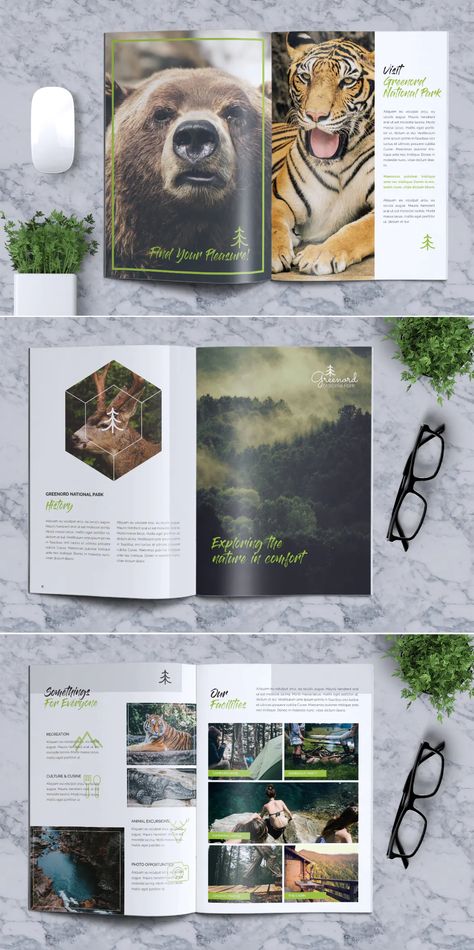 National Park Brochure Template InDesign - 12 custom pages - A4 & US Letter format paper size Environmental Brochure, National Park Brochure, Park Brochure, Book Layouts, Brown County, Letter Format, Brochure Design Template, Nature Trail, Brochure Design