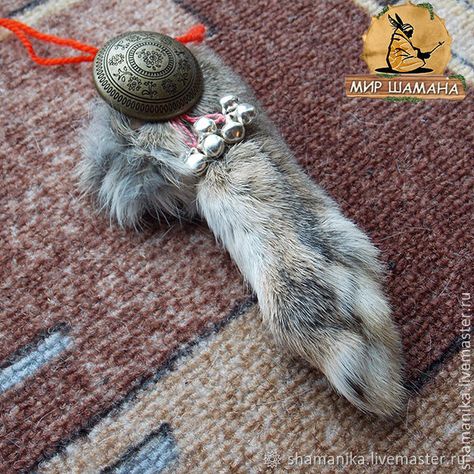 Lucky Rabbit Foot, Rabbits Foot, Lucky Rabbit, Taxidermy, Look Cool, Rabbits, Life Hacks, Gemstones, Design