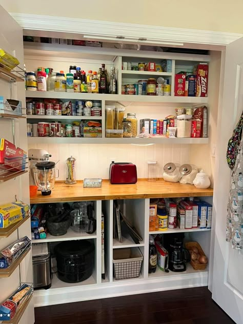 Turn Closer Into Pantry, Pantry In Hallway Closet, Reach In Pantry With Countertop, Pantry Closet With Counter, Bifold Pantry Makeover, Shallow Pantry Organization, Built In Cabinet Pantry, Built In Wall Pantry, Shallow Kitchen Pantry