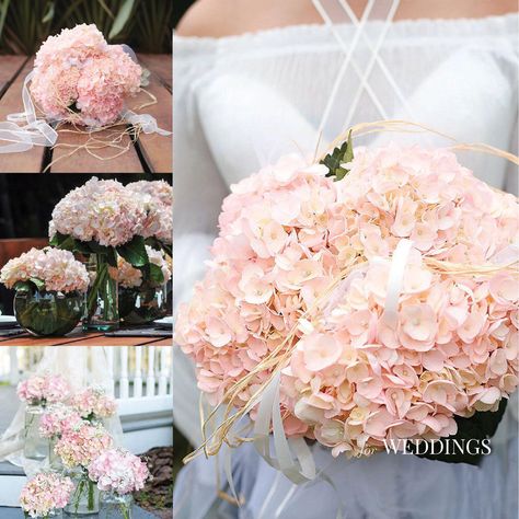 Hydrangea, Bridal Pink (15 stems) - Sam's Club Brides Flowers, Bulk Wedding Flowers, Hydrangea Bouquet, Pink Hydrangea, Flower Care, Wholesale Flowers, Sam's Club, Pink Wedding, Fresh Flowers