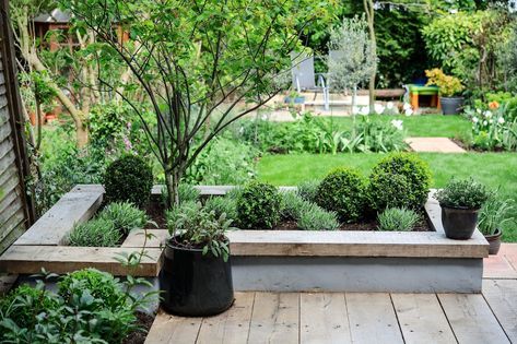 Give your garden a modern edge by creating a contemporary raised bed, by following our practical guide, from the experts at BBC Gardeners' World Magazine. Dog Friendly Garden, Contemporary Garden Design, Vegetable Garden Raised Beds, Building A Raised Garden, Back Garden Design, Modern Garden Design, Contemporary Garden, Raised Bed, Diy Garden Projects