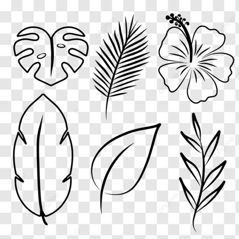 tropical plants doodle vector line art illustration tropical drawing leaves doodle png Banana Leaves Drawing, Tropical Drawing, Plants Doodle, Drawing Leaves, Leaves Drawing, Leaves Doodle, Plant Doodle, Vector Line Art, Doodle Png