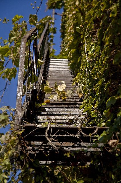 nature vs man photography | Recent Photos The Commons Getty Collection Galleries World Map App ... Urban Nature Photography, Natural World Photography, Man Made Vs Nature Photography, Manmade Vs Nature, Man Made Vs Nature, Nature Vs Industry, Nature Vs Manmade, Nature Vs Manmade Photography, Man Vs Nature Art