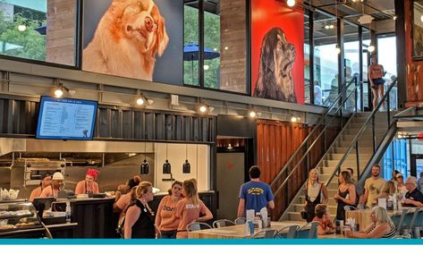 Bar K Presents Dogs and Their Humans a Business Model Like No Other Pet Cafe, Pet Boarding, Dog Cafe, Dog Bakery, Pet Businesses, Grooming Salon, Day Camp, Animal Room, Dog Park