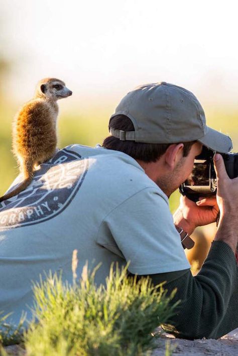 10 Wildlife Photographers You Should Follow on 500px Right Now Wildlife Conservationist Aesthetic, Wildlife Photography Aesthetic, Wildlife Photographer Aesthetic, Wildlife Biology Aesthetic, Wildlife Filmmaking, Wildlife Photography Camera, Wildlife Documentary, Vet Aesthetic, Wildlife Biology