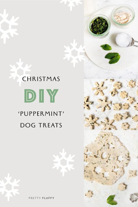 Homemade Mint Treats for Dogs: 'Puppermint' Dog Cookies Mint Treats, Vegetarian Dog Treats, Healthy Dog Biscuits, Peppermint Treats, Christmas Dog Treats, Dog Treat Recipe, Dog Treats Grain Free, Bite Size Cookies, Treats For Dogs