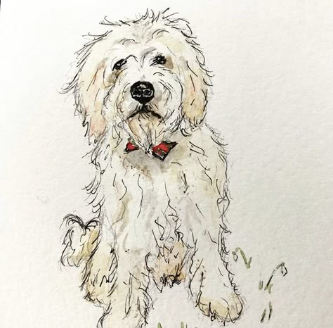 Cavoodle Drawing, Labradoodle Drawing, Watercolour Basics, Friend Painting Ideas, Watercolour Dogs, Labradoodle Art, Dog Collage, Draw Dogs, Painted Dogs