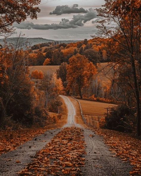 숲 사진, Romantic Road, Autumn Wallpaper, Fall Mood Board, Autumn Scenery, Harvest Season, Fall Is Here, Best Seasons, Autumn Beauty