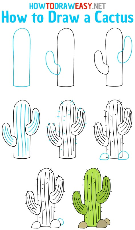 How To Draw Cactus Flowers, How To Draw A Cactus Easy, Succulent Drawing Simple Step By Step, Cactus Simple Drawing, How To Draw Plants Step By Step Easy, Drawing Of Cactus, How To Draw A Cactus Step By Step, Easy Plant Drawings For Beginners, How To Draw Plants Step By Step