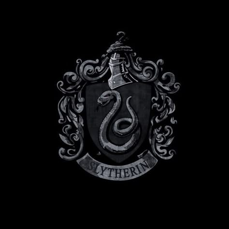 Harry Potter Parents, Druella Black, Hogwarts Wallpaper, Slytherin Group, Riddle Brothers, Harry Potter Personajes, Slytherin Core, My Hogwarts House, Harry Potter Ocs