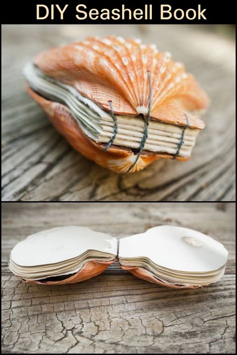 Seashell Book, Art Coquillage, Backyard Oasis Ideas, Backyard Beach, Pools Backyard, Shell Crafts Diy, Cadeau Diy, Seashell Art, Beach Crafts