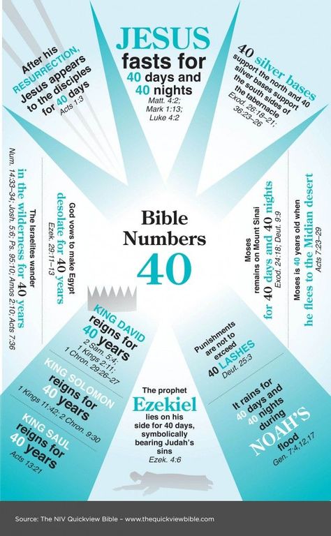 Bible Numbers—40 Jacob Bible, Numbers And Their Meanings, Biblical Numbers, Bible Numbers, Quick View Bible, Number 40, Bible Study Help, Bible History, Bible Study Notebook