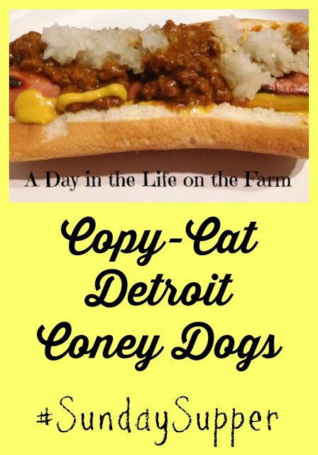 Hot Dog Recipes Creative, Coney Dog Sauce, Coney Island Chili, Hot Dog Chili Sauce Recipe, Coney Dogs, Chili Dog Sauce, Hot Dog Sauce Recipe, Coney Sauce, Bunco Ideas