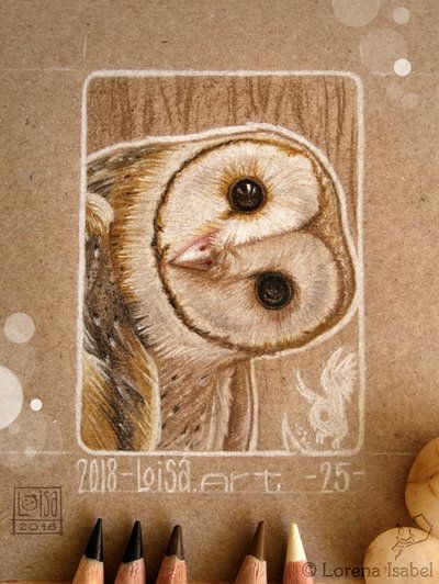 Barn Owl Drawing, Ancient Drawings, Jesus Artwork, Owls Drawing, Adobe Illustrator Tutorials, Toned Paper, True Art, Color Pencil Art, Illustrator Tutorials