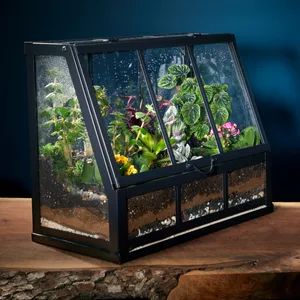 How To Make a Terrarium (DIY) | Family Handyman How To Make An Enclosed Terrarium, How To Make A Terrarium Step By Step, How To Build A Terrarium, Terrarium Flowers, Table Top Terrarium, Crystal Terrarium Diy, Tabletop Terrarium, Make A Terrarium, Build A Terrarium