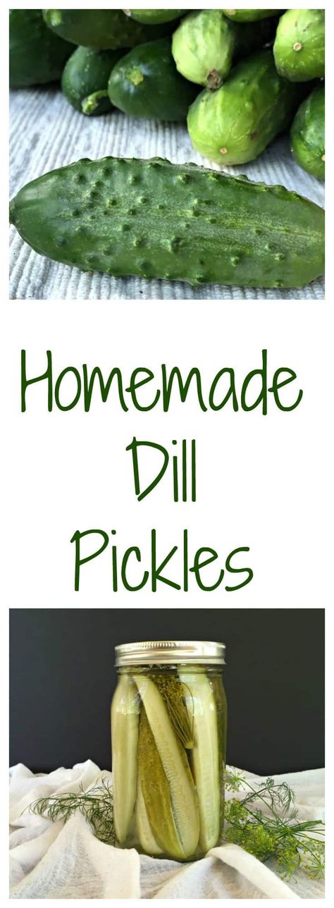 Homemade Dill Relish, Homemade Dill Pickles, Dill Relish, Homemade Pickles Dill, Homesteading Tips, Dill Pickle Recipe, Easy Canning, How To Make Pickles, Carb Cycling Diet