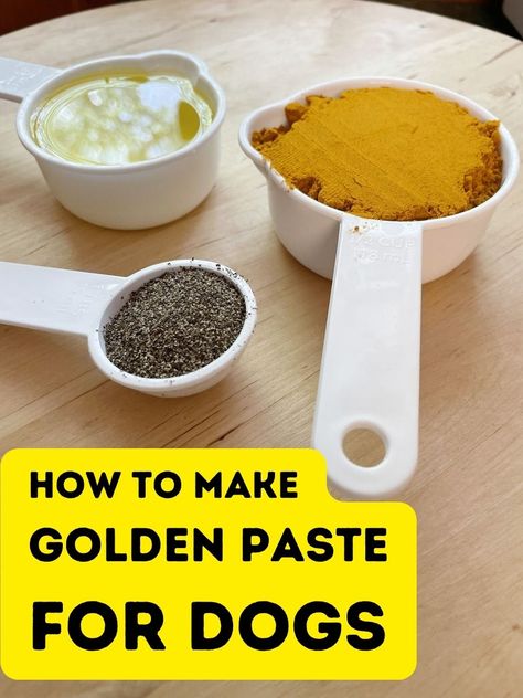 Golden paste for dogs: how easy is it to make your own? Turmeric Treats For Dogs, Tumeric Paste For Dogs Recipe, Tumeric Dog Treats Recipes, Golden Paste Turmeric Recipe, Tumeric Paste, Golden Paste For Dogs, Garlic For Dogs, Puppy Treats Homemade, Tumeric For Dogs