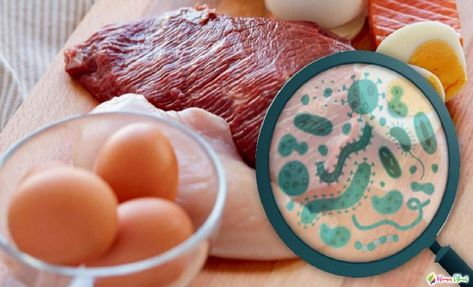 What is Salmonella bacteria? What are the symptoms of Salmonella? Check more at https://www.womenabout.net/mother-kids/what-is-salmonella-bacteria-what-are-the-symptoms-of-salmonella-22486.html Food Poisoning, Short Film, Disease, Astrology, Education, Quick Saves