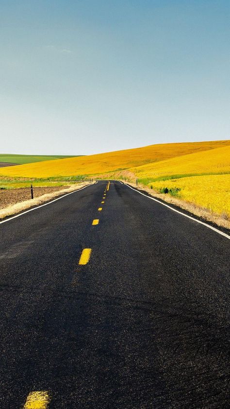 Country Road Yellow Hills Smartphone Wallpaper and Lockscreen HD Check more at https://phonewallp.com/country-road-yellow-hills-smartphone-wallpaper-and-lockscreen-hd/ Wallpapers Landscape, Yellow Hills, Htc Wallpaper, Farm Harvest, Iphone Wallpaper Yellow, Country Backgrounds, 4k Wallpaper Iphone, Free Background Images, Beautiful Roads