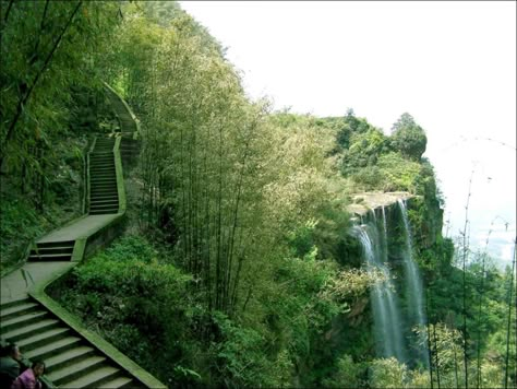 Shunan Bamboo Sea – The Biggest Natural Bamboo Forest | China Tours Online Blog Windows Xp Desktop, Wallpapers Windows, Chinese Travel, Landscape Wallpapers, China Travel Guide, Conservation Of Natural Resources, Chinese Aesthetic, Landscape Concept, Halong Bay