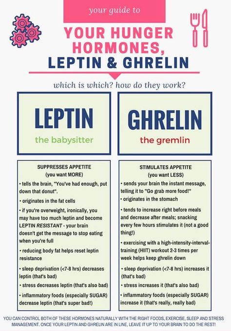 leptin diet diet for leptin resistance leptin resistance diet no lectin diet lectin avoidance diet leptin diet pills leptin reset diet keto diet keto diet menu keto diet food keto diet plan keto diet beginner keto diet recipes keto diet pills keto diet meal plan keto diet explained keto diet food list keto diet what to eat keto diet vegan keto diet vegetarian keto diet snacks keto diet vegetables keto diet for vegetarian keto diet side effect is keto diet safe is keto diet healthy Leptin Diet Recipes, Leptin Reset, Leptin Resistance Diet, Leptin Diet, Leptin And Ghrelin, Leptin Resistance, Speed Up Metabolism, Diet Vegetarian, Hormone Health