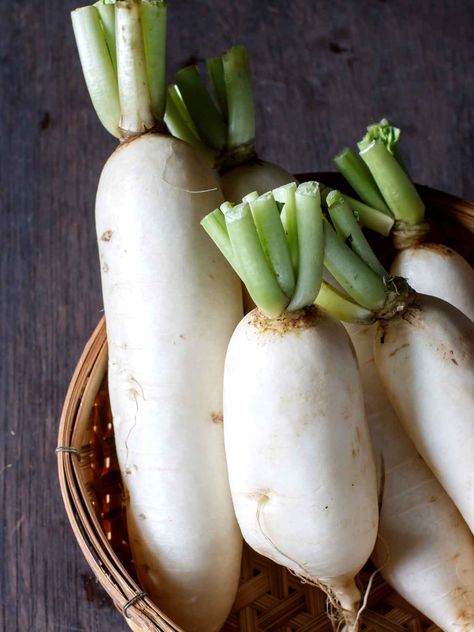 Radish Plant, Vegetarian Facts, Daikon Recipe, Radish Recipe, White Radish, Csa Box, Unique Ingredients, Daikon Radish, Radish Recipes