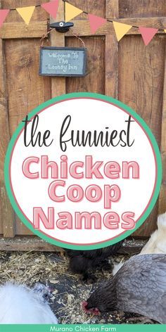 Naming your chicken coop can be difficult, and of course you want a clever coop name! Many backyard chickens keepers prefer funny coop names. So give your chickens home a name as silly as them! From clever wordplay to witty references, these coop names will make you giggle and cluck with laughter! Cute Chicken Coop Signs, Chicken Coop Signs Diy, Chicken Names Hens, Chicken Coop Colors Scheme, Colorful Chicken Coop, Chicken Coop Names, Funny Chicken Coop, Rooster Names, Perfect Chaos