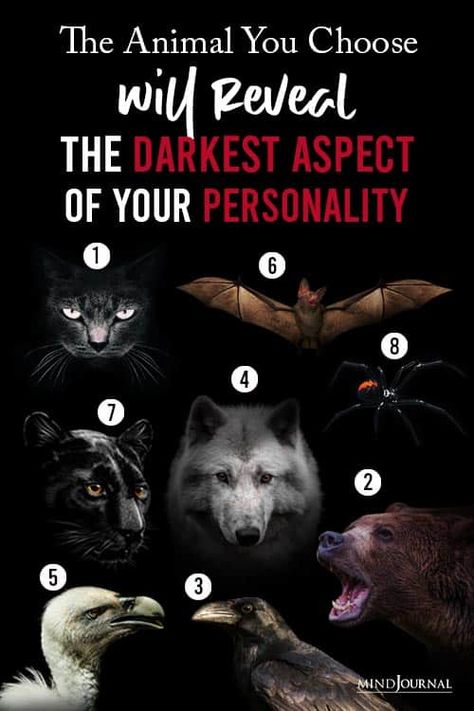 Animal Psychology, Personality Test Psychology, Personality Descriptions, Hidden Identity, Human Body Art, Personality Psychology, Best Study Tips, Signs Astrology, Dark Underarms