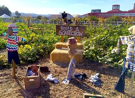 Scarecrow Games, Farmstand Ideas, Pumpkin Patch Business, Pumpkin Patch Diy, Pumpkin Patch Decoration, Pumpkin Walk, Pumpkin Patch Activities, Build A Scarecrow, Farm Market Ideas