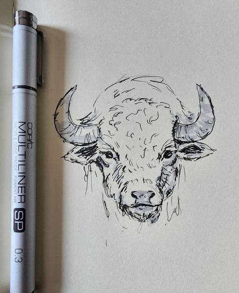 Bison - @dailysktchrefs reference #practicemakesprogress #animalalphabets @copic_official multiliner How To Draw A Bison, Bison Drawing, Art Idea, Copic, Rush, Drawings, On Instagram, Quick Saves, Instagram