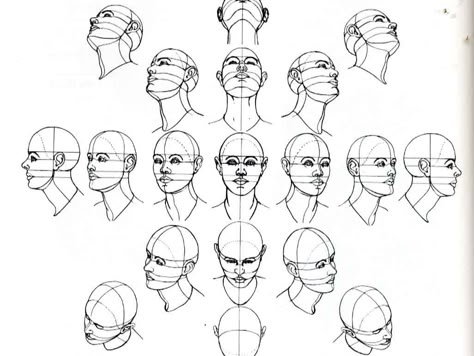 face angles Head Positions, Figure Construction, Procreate Artwork, Drawing The Human Head, Brain Drawing, Contemporary Realism, Drawing Hair, Drawing Heads, Drawing Faces