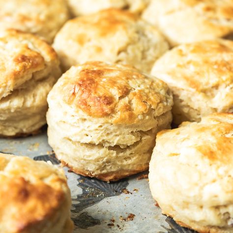 These easy Sourdough Discard Biscuits are flaky and buttery with a hint of delicious tanginess. The simple dough takes minutes to pull together and the Sourdough Discard Biscuits, Discard Biscuits, Sourdough Discard Crackers, Wild Thistle, Discard Crackers, Sourdough Biscuits, Discard Recipe, Sourdough Recipe, Sourdough Starter Discard Recipe