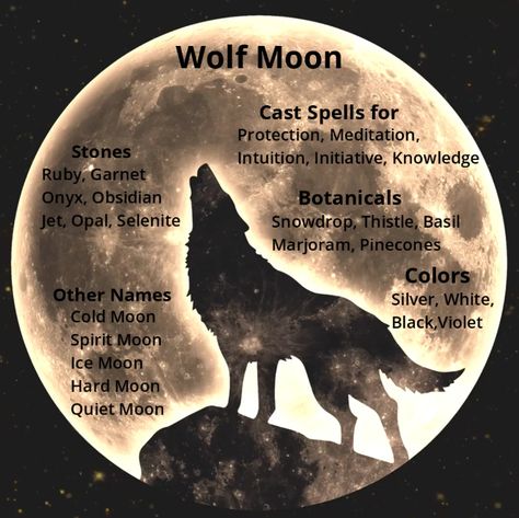 The full moon is January is known as the Wolf Moon. Learn about other names for the Wolf Moon and its magical correspondences. Wolf Moon Correspondences, Full Wolf Moon Spells, Wolf Moon January 2024, Wolf Moon Ritual 2024, Full Wolf Moon 2024, Wolf Moon Ritual, January Magick, Hello Witchling, Moon Tutorial