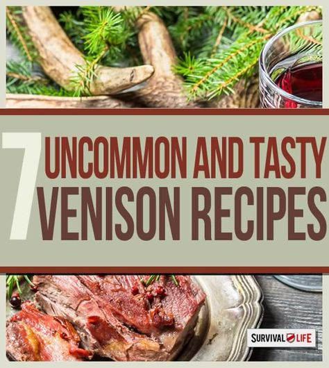 Easy Venison Recipes, Homesteading Projects, Survival Recipes, Diy Homesteading, Bbq Sandwiches, How To Cook Venison, Venison Meat, Crockpot Apple, Venison Roast