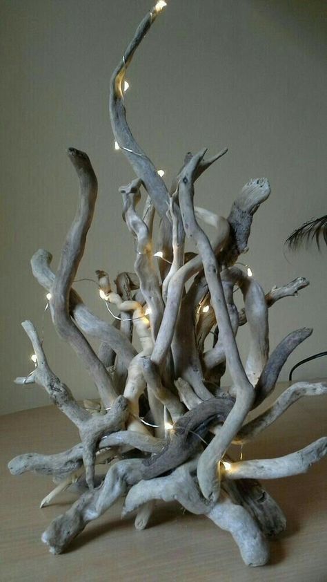 Takken Decor, Tre Kunst, Driftwood Diy, Driftwood Art Diy, Driftwood Projects, Deco Nature, Driftwood Decor, Studio Apartment Ideas, Deco Originale