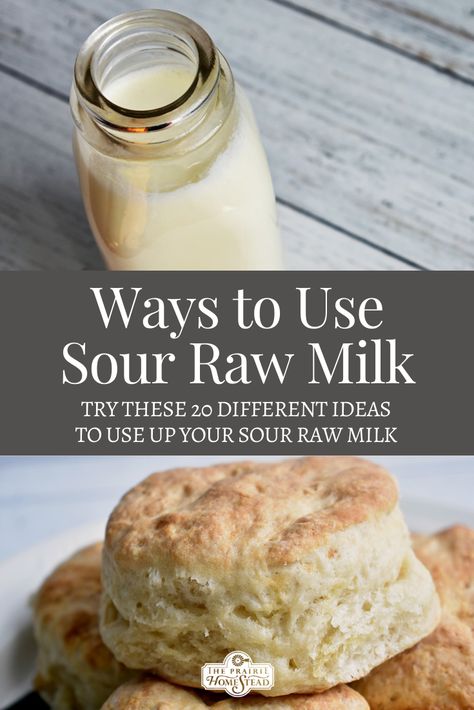 Raw Cow Milk Recipes, What To Do With Sour Milk Recipes For, Sour Milk Bread Recipes, Soured Milk Recipes, Lots Of Milk Recipes, What To Do With Old Milk, What To Make With Sour Milk, Recipes For Sour Milk, Clabbered Milk Recipes