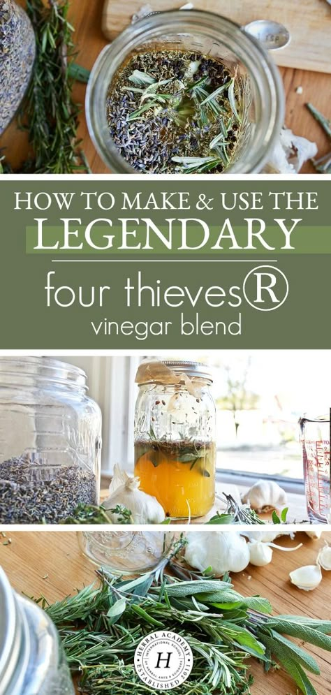 Four Thieves Vinegar, Herbal Vinegar, Herbal Academy, Herbal Tinctures, Herbal Recipes, Herbal Apothecary, Herbal Healing, Cold Home Remedies, Herbs For Health