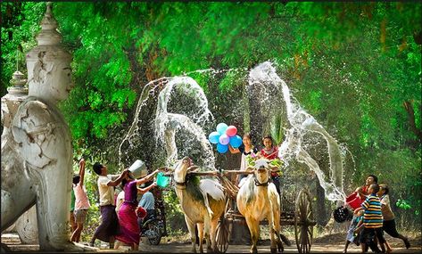 Padauk Flower Illustration, Myanmar Thingyan, Thingyan Festival, Naypyidaw, Water Festival, Angkor Thom, Dangerous Roads, Songkran Festival, Instagram Cartoon