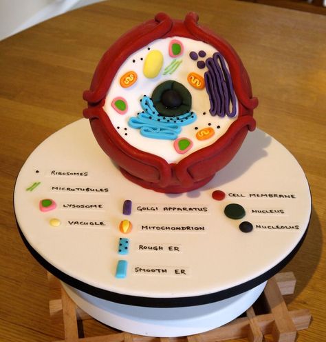 Biology Cell Cake This was done for a couple of High school Biology students as a thank you for their teacher! I used a 6 inch ball tin.... Cell Organelles Project Models, Cell Cakes Project, Cell Cake Project, Biology Cake, Animal Cell Cake, 3d Animal Cell Project, 3d Cell Project, Plant Cell Cake, Animal Cell Model Project