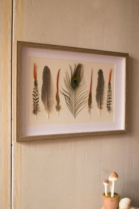 Framed Feathers, Parrot Feather, Feather Diy, Feather Decor, Feather Crafts, Feather Art, Crafty Diy, Wall D, Decor Diy